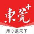东莞+安卓版