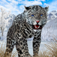 SnowLeopard官方版